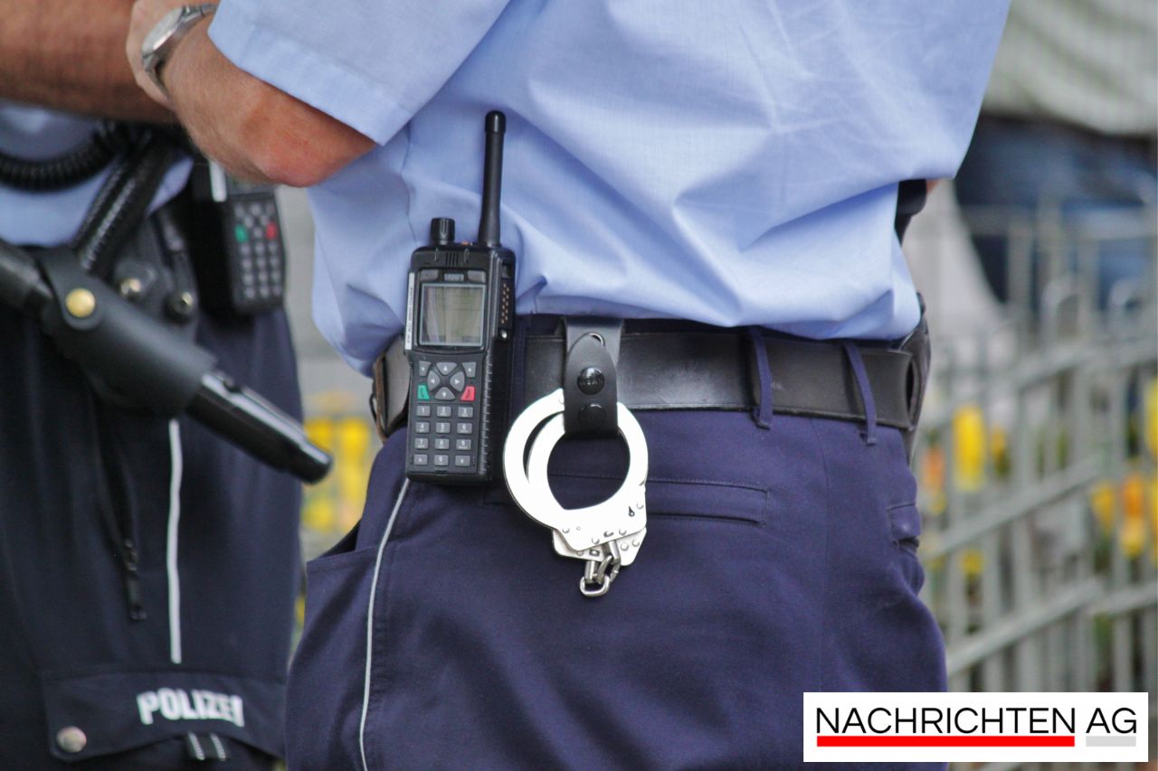 Köln: Mann verschenkt Katzen im Pappkarton – Polizei eingeschaltet!