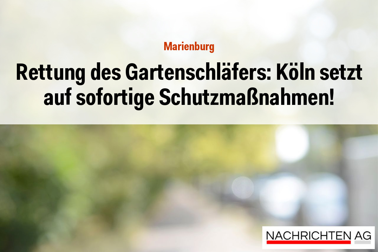 Rettung des Gartenschläfers: Köln setzt auf sofortige Schutzmaßnahmen!