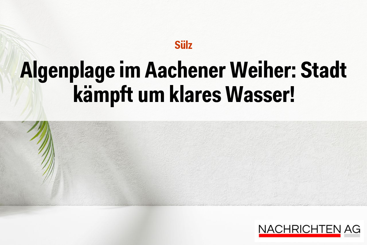 Algenplage im Aachener Weiher: Stadt kämpft um klares Wasser!
