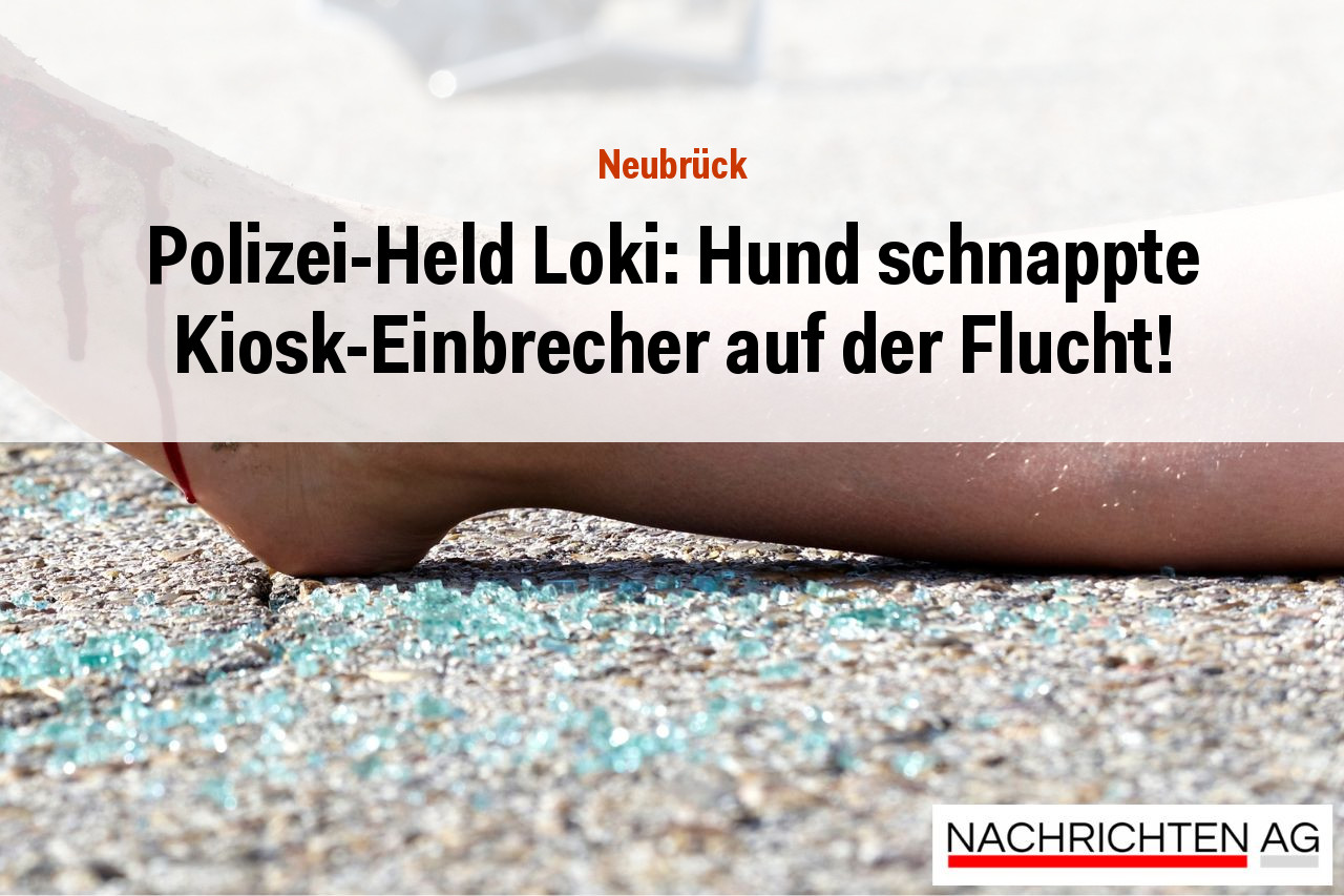 Polizei-Held Loki: Hund schnappte Kiosk-Einbrecher auf der Flucht!