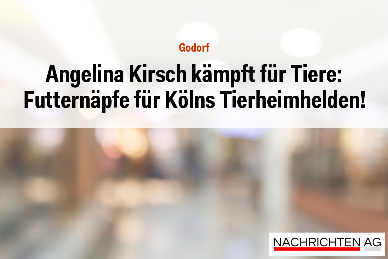 Angelina Kirsch kämpft für Tiere: Futternäpfe für Kölns Tierheimhelden!