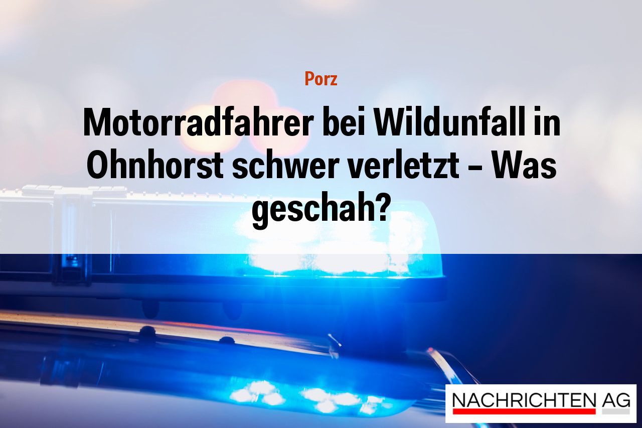 Motorradfahrer bei Wildunfall in Ohnhorst schwer verletzt – Was geschah?