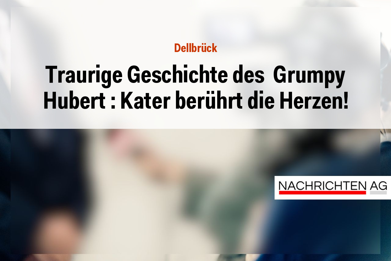 Traurige Geschichte des  Grumpy Hubert : Kater berührt die Herzen!