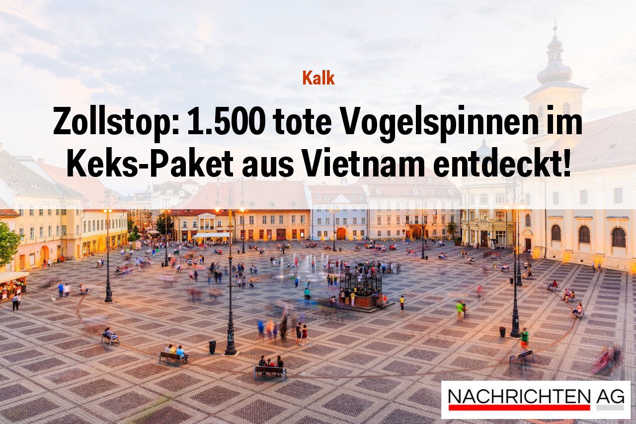Zollstop: 1.500 tote Vogelspinnen im Keks-Paket aus Vietnam entdeckt!