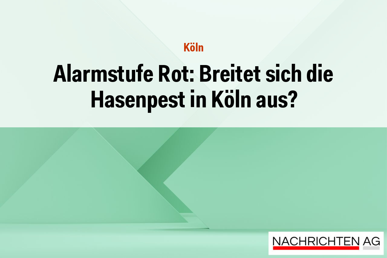 Alarmstufe Rot: Breitet sich die Hasenpest in Köln aus?