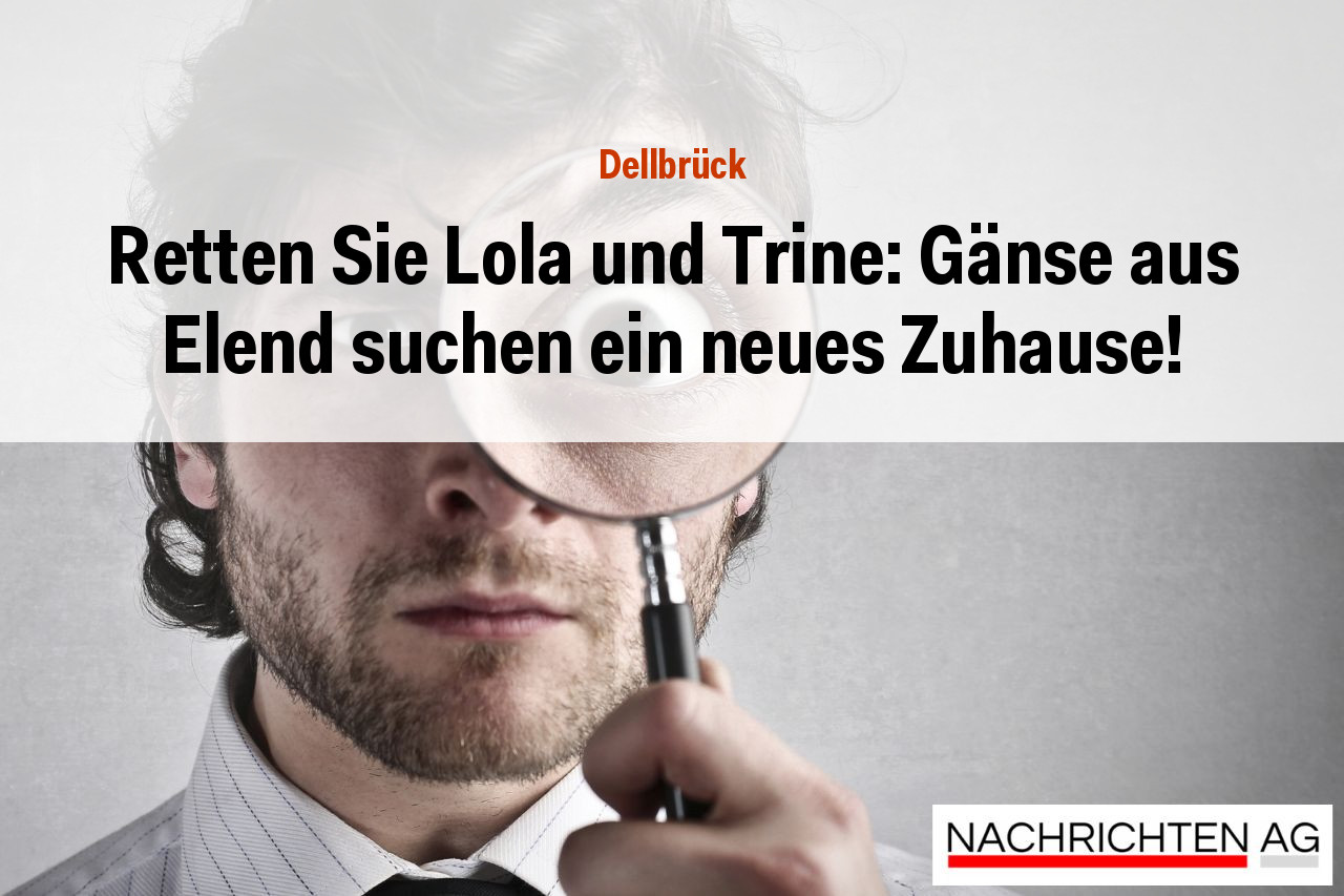 Retten Sie Lola und Trine: Gänse aus Elend suchen ein neues Zuhause!